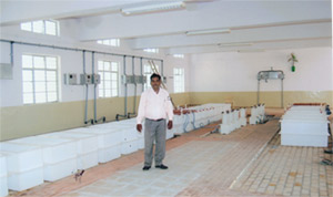 Silver Plating Plant 